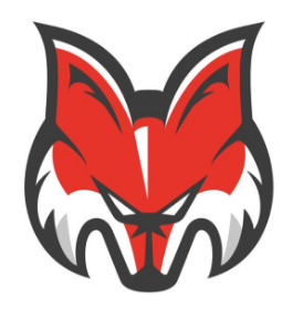 Bolzano-Bozen Foxes 2016-Pres Secondary Logo iron on transfers for T-shirts